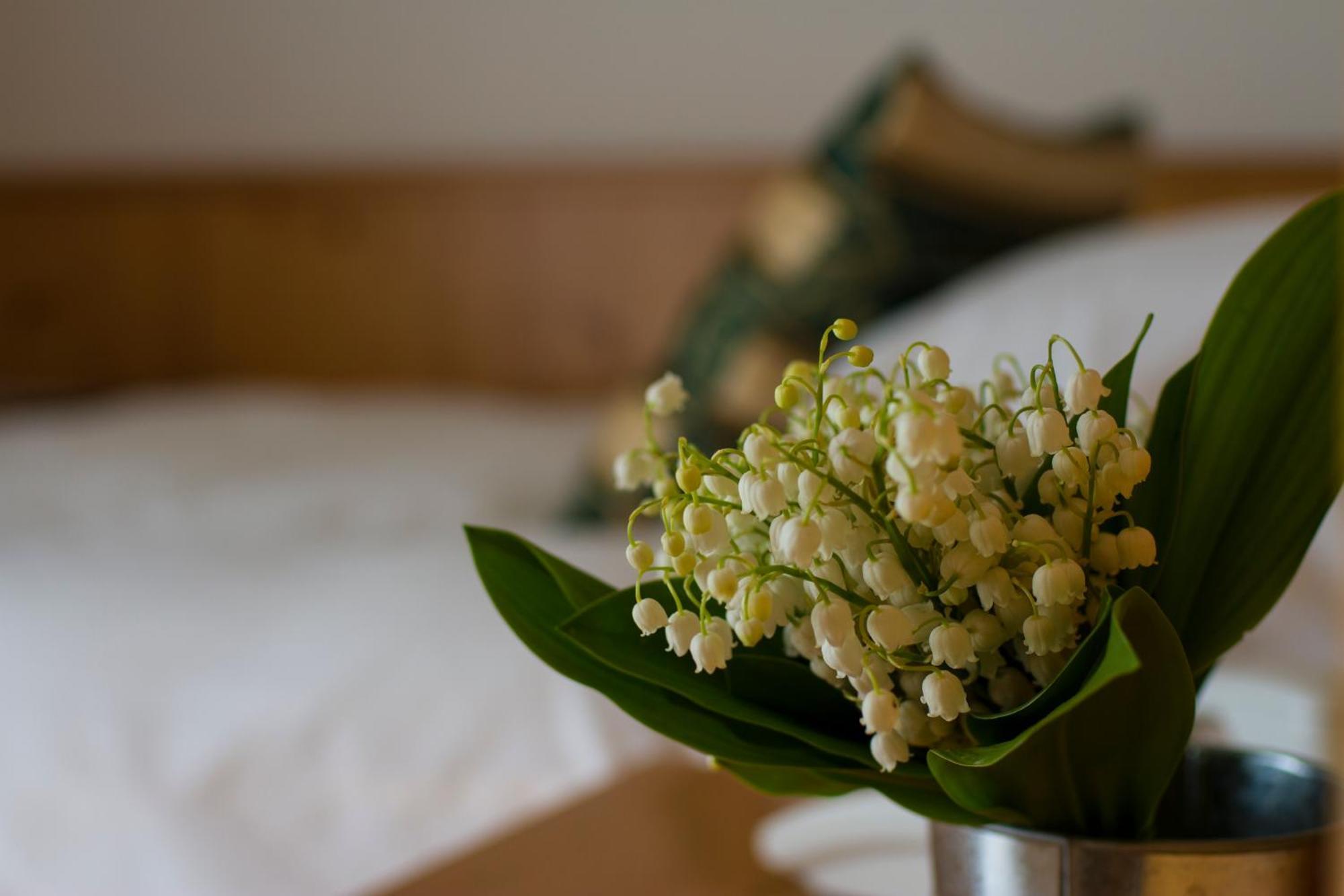 מדונה די קמפיליו Hotel Chalet All'Imperatore חדר תמונה